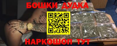 МДПВ Моздок