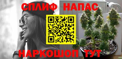 не бодяженный Можайск