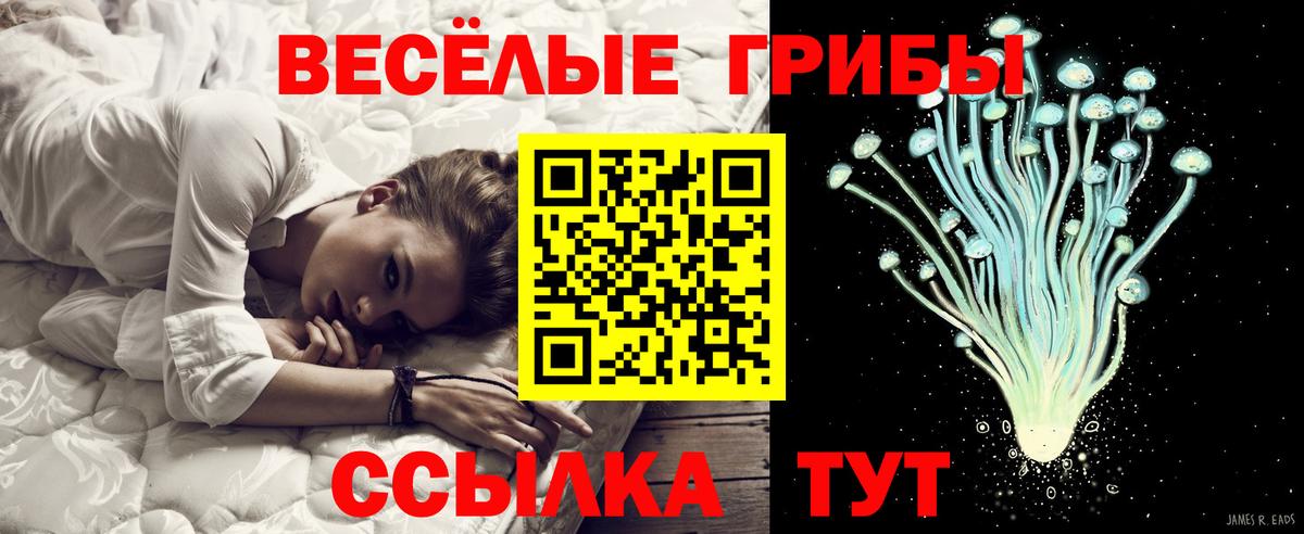 Галлюциногенные грибы Psilocybine cubensis Тверь