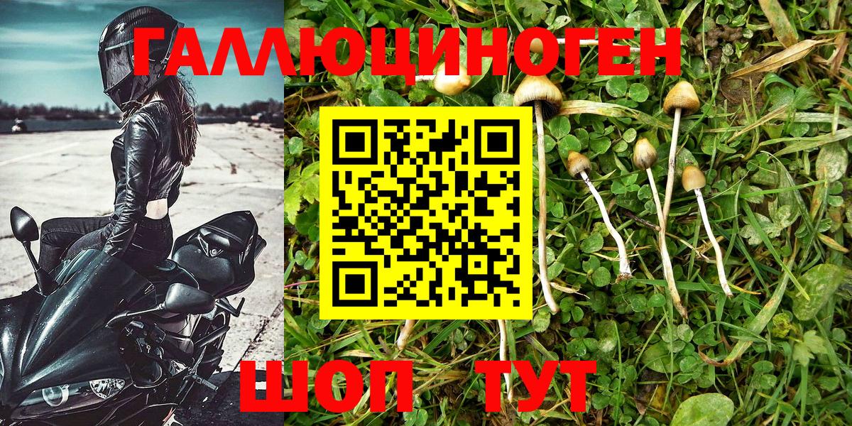 ГАШ  Марихуана  Амфетамин   Мефедрон  Тверь  ЭКСТАЗИ  Кокаин  Меф МЯУ МЯУ кристаллы  Вход с VPN 